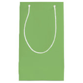 True Pistachio Green Klein Cadeauzakje (Voorkant)