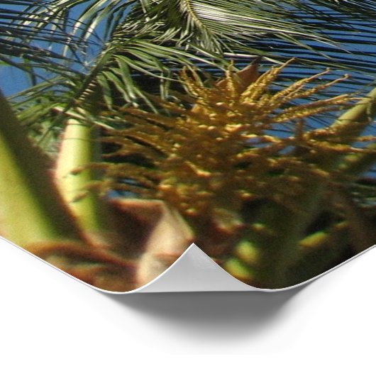 True Relaxation Poster (Hoek)