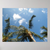 True Relaxation Poster (Voorkant)