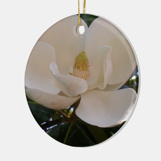 True Southern Magnolia Bloom Keramisch Ornament (Links)