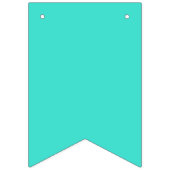 True Turquoise Vlaggetjes (Eerste vlag)