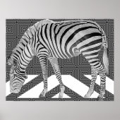 True Zebra Poster afdrukken (Voorkant)