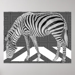 True Zebra Poster afdrukken