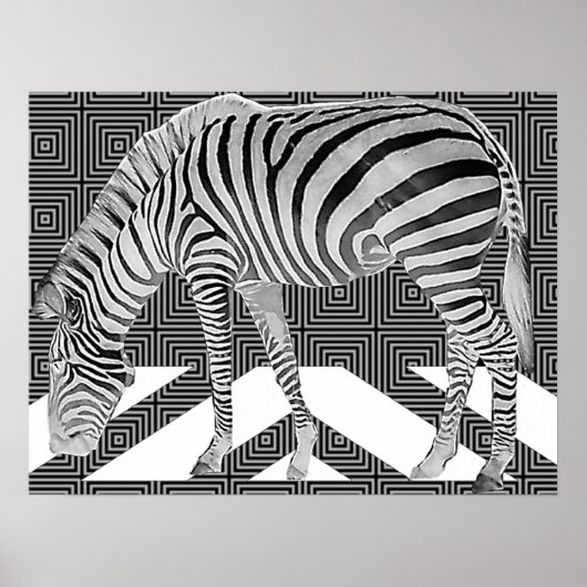 True Zebra Poster afdrukken (Voorkant)