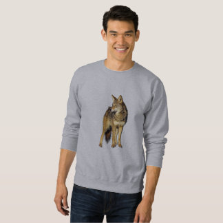 TRUI - COYOTE
