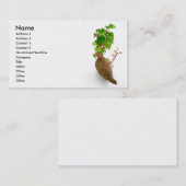 Truitjes van zoete aardappelen visitekaartje (Voorkant / Achterkant)