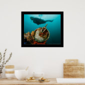 Truk Lagoon - Fujikawa Maru - Telegraph op Bow Poster (Keuken)