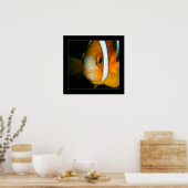 Truk Yamagiri Maru 009bbcr Poster (Keuken)