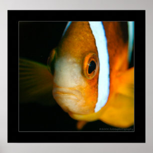 Truk Yamagiri Maru 009bbcr Poster