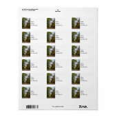 Truman Dam herfst omhulde Adresetiketten Etiket (Full Sheet)