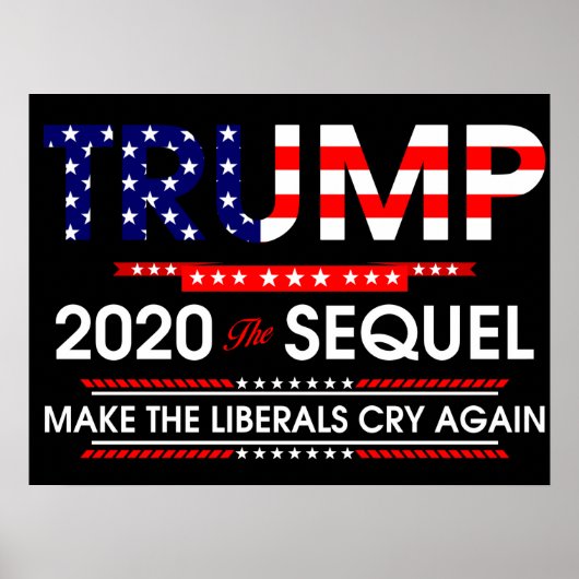 Trump 2020: De Sequel maakt de liberalen weer aan  Poster (Voorkant)