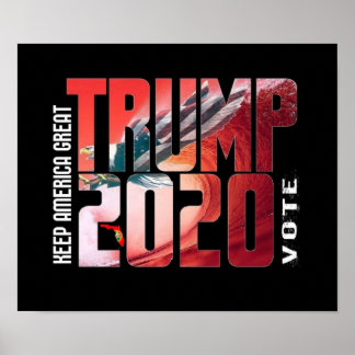 Trump 2020 Florida Red Wave poster