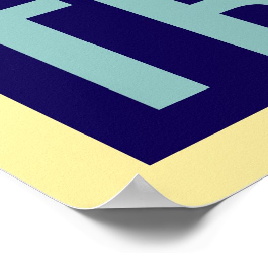 Trump 2020 poster (Hoek)