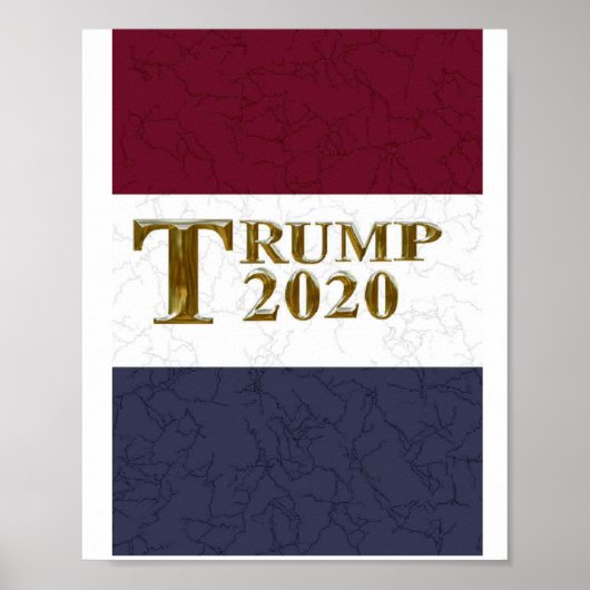 TRUMP 2020 POSTER (Voorkant)