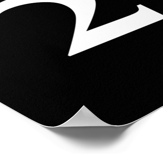 Trump 2020 poster (Hoek)