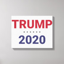 Trump 2020 (VS Verkiezingen)