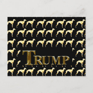TRUMP 2024 BRIEFKAART