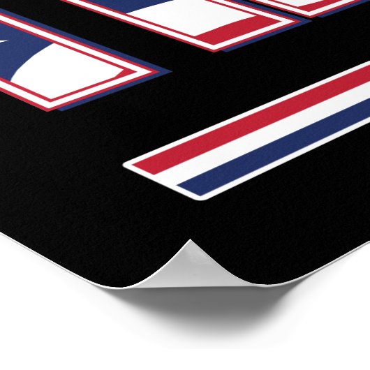 Trump 2024 Haal Amerika terug Poster (Hoek)