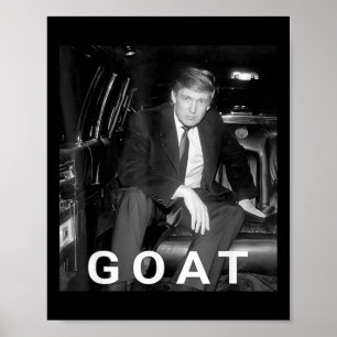 Trump 2024 - Jonge Trump Poster