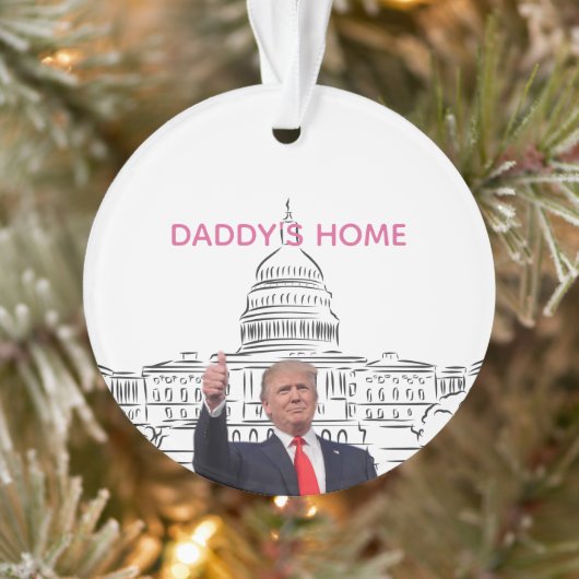 Trump 2024 neemt Amerika terug naar huis Ornament (Boom)