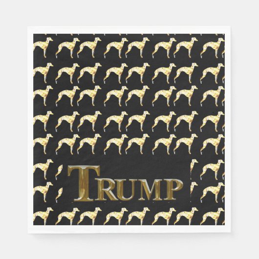 TRUMP 2024 SERVET (Voorkant)