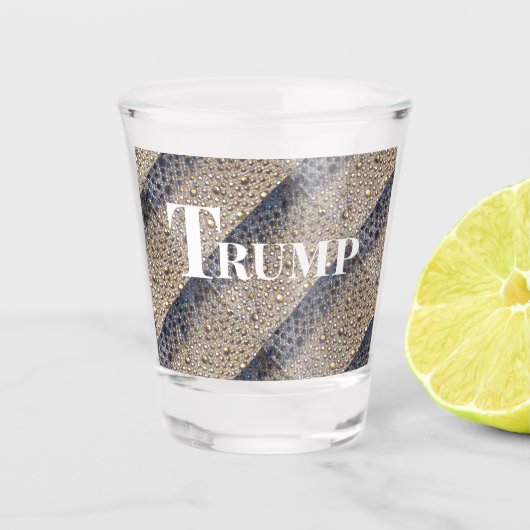 TRUMP 2024 SHOT GLAS (Voorkant)