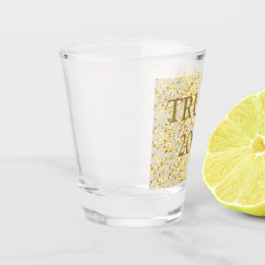 TRUMP 2024 SHOT GLAS (Links)