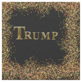 TRUMP 2024 STOF (Close Up)