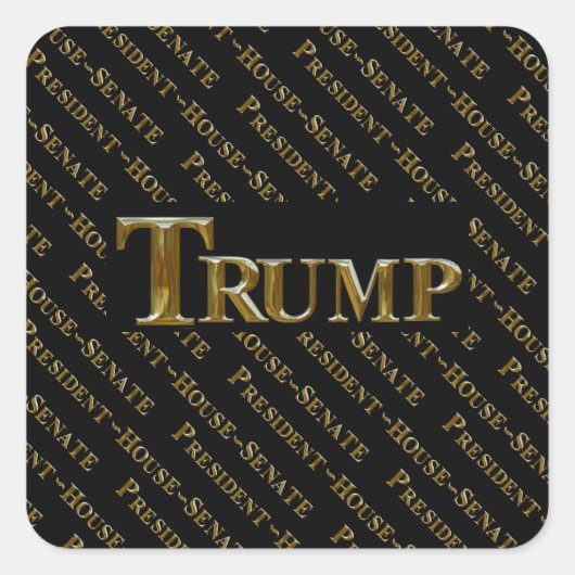 TRUMP 2024 VIERKANTE STICKER (Voorkant)