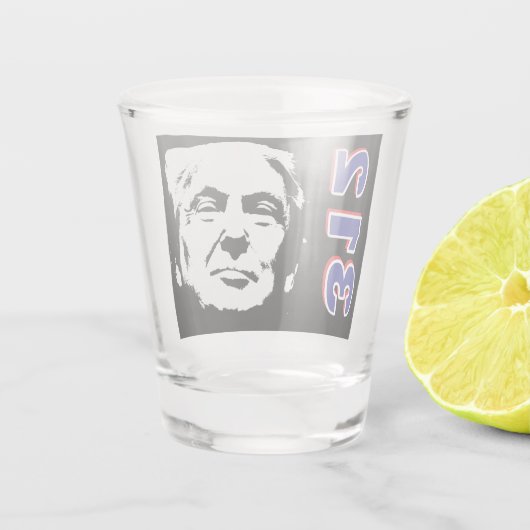 Trump 312 Schot glas (Achterkant)