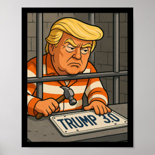 Trump 3.0 Kentekenplaat Ontwerper Poster