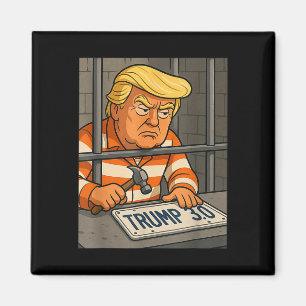 Trump 3.0 License Bord Designer Magneet