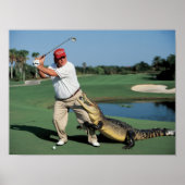 Trump Alligator Poster (Voorkant)