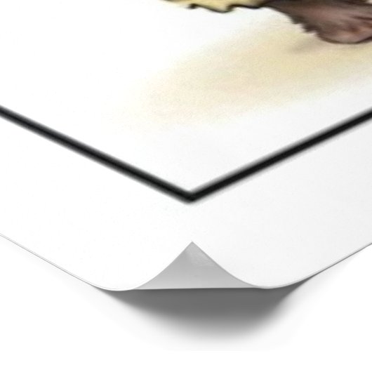 Trump bezoekt Houston Poster (Hoek)