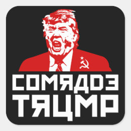 Trump Button: "Kameraad Trump" (zwart) Vierkante Sticker