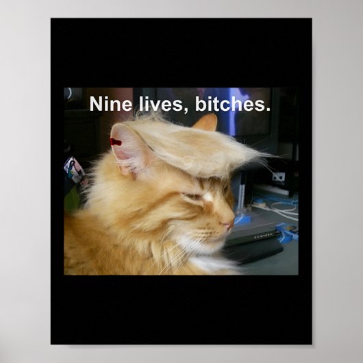 Trump Cat Nine Lives Funny Trump 2024 Poster (Voorkant)