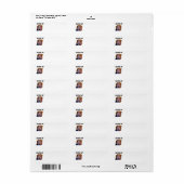 Trump Cover Up Retouradreslabel Etiket (Full Sheet)