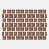 Trump Daddys Home Witte Huis | Trump luipaard Gift Inpakpapier Vel (Voorkant)