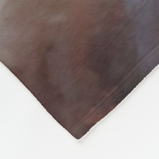 Trump, de Amerikaanse ridder deken (Hoek)