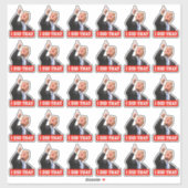 Trump deed dat grappige anti-Trump 30 stuk Sticker (Vel)