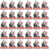 Trump deed dat grappige anti-Trump 30 stuk Sticker (Voorkant)