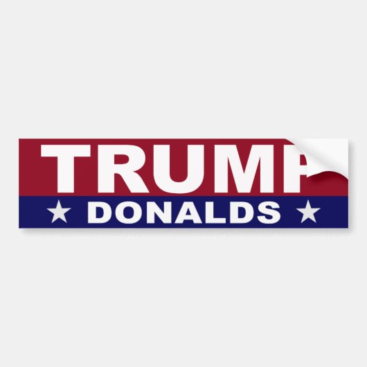 TRUMP DONALDS 2024 BUMPERSTICKER (Voorkant)