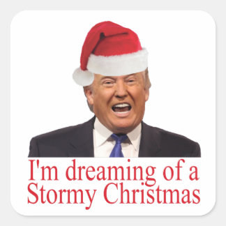 Trump, dromen van een winkelkerst vierkante sticker