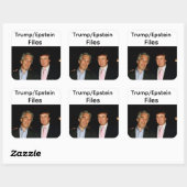 Trump/Epstein-bestanden sticker (Vel)