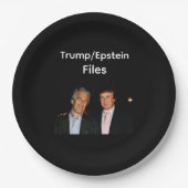 Trump/Epstein dossiers papieren bord (Voorkant)