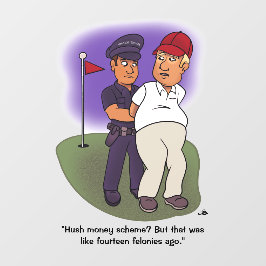 Trump Felonies Raamsticker