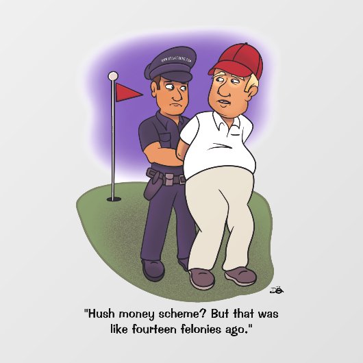 Trump Felonies Raamsticker (Vel)