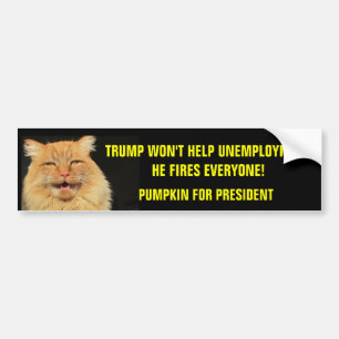 Trump Fires all Pumpkin for President Bumpersticker
