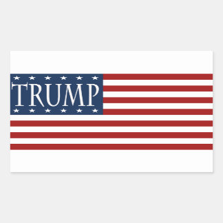 TRUMP FLAG STICKER