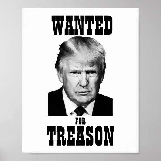 Trump Gewenst Poster Treinde (Voorkant)